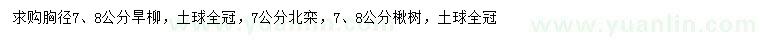 求購旱柳、北欒、楸樹