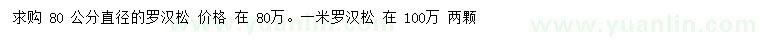 求購直徑80、100公分羅漢松