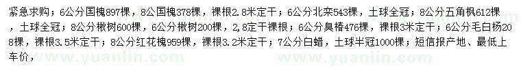 求購國槐、北欒、五角楓等