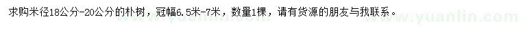 求購米徑18-20公分樸樹