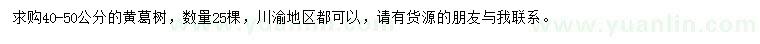 求購40-50公分黃葛樹