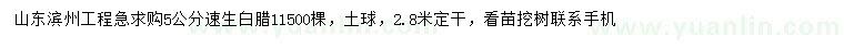 求購5公分速生白臘