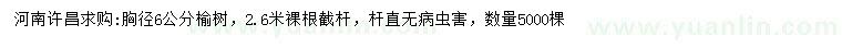 求購胸徑6公分榆樹