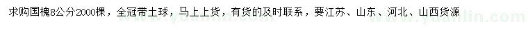 求購8公分國槐