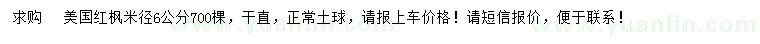 求購米徑6公分美國紅楓