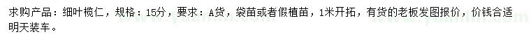 求購15公分細(xì)葉欖仁