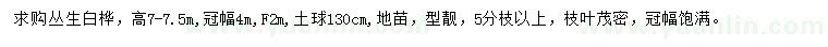 求購高7-7.5米叢生白樺
