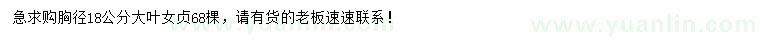 求購胸徑18公分大葉女貞