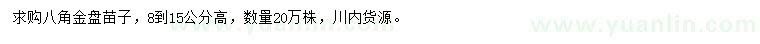 求購高8-15公分八角金盤
