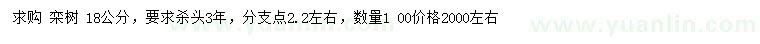 求購18公分欒樹