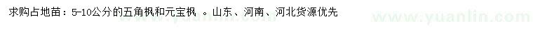 求購5-10公分五角楓、元寶楓