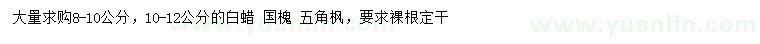 求購(gòu)白蠟、國(guó)槐、五角楓