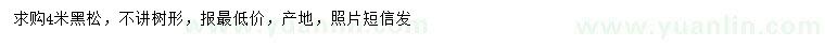 求購4米黑松