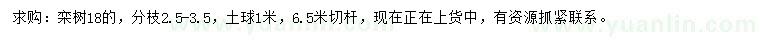 求購(gòu)18公分欒樹(shù)