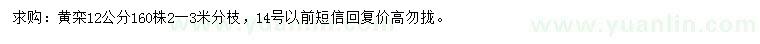 求購(gòu)12公分黃欒