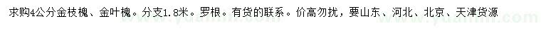 求購(gòu)4公分金枝槐、金葉槐