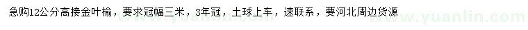 求購12公分高接金葉榆