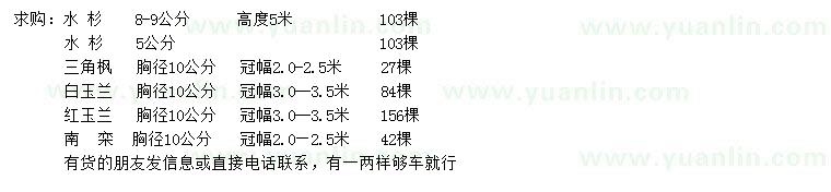 求購水杉、三角楓、白玉蘭等