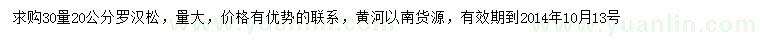 求購30量20公分羅漢松