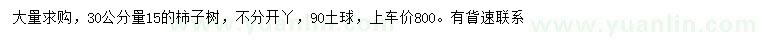 求購30公分量15公分柿子樹