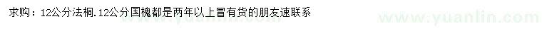 求購12公分法桐、國槐
