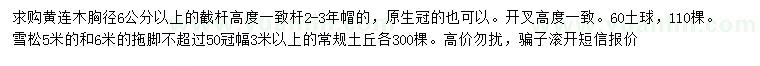求購胸徑6公分黃連木、5、6米雪松