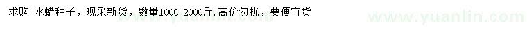 求購水蠟種子
