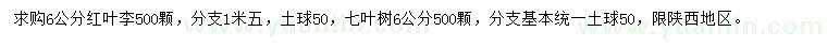 求購(gòu)6公分紅葉李、七葉樹(shù)