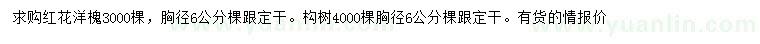 求購(gòu)胸徑6公分紅花洋槐、構(gòu)樹(shù)