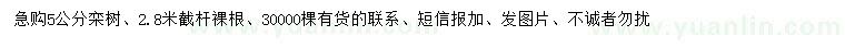 求購5公分欒樹