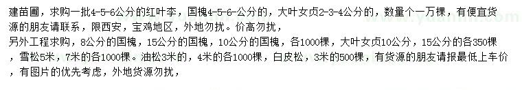 求購(gòu)紅葉李、國(guó)槐、大葉女貞等