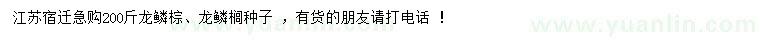 求購龍鱗棕種子、龍鱗櫚種子