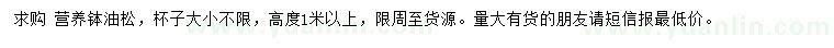 求購高1米以上油松