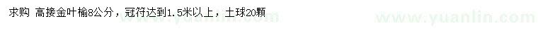 求購8公分金葉榆