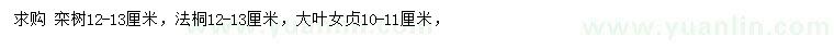 求購欒樹、法桐、大葉女貞