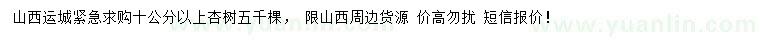 求購10公分以上杏樹