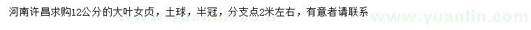 求購12公分大葉女貞