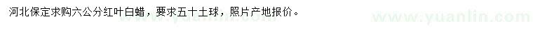 求購6公分紅葉白蠟