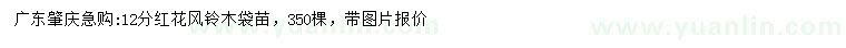 求購12公分紅花風(fēng)鈴木
