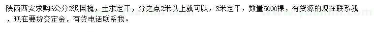 求購6公分國槐
