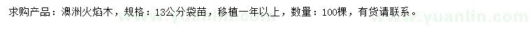 求購13公分澳洲火焰木