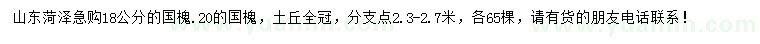 求購18、20公分國槐
