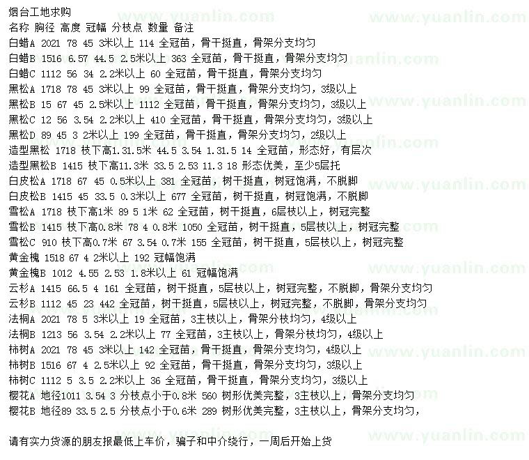 求購(gòu)白蠟、黑松、白皮松等
