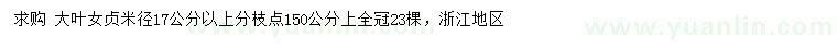求購米徑17公分以上大葉女貞