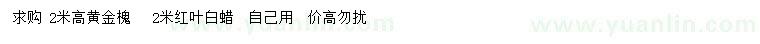 求購高2米黃金槐、紅葉白蠟