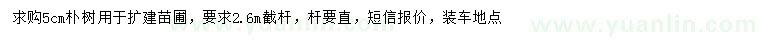 求購5公分樸樹