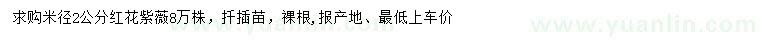 求購米徑2公分紅花紫薇