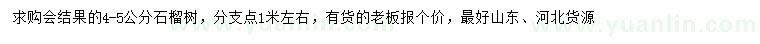 求購(gòu)4-5公分石榴樹(shù)