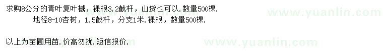 求購8公分青葉復(fù)葉槭、地徑8-10公分杏樹