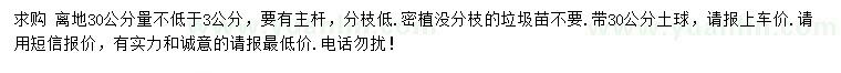 求購(gòu)30公分量3公分以上紅豆杉